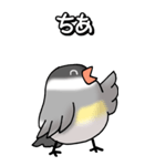 文鳥様の日常（個別スタンプ：2）