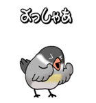 文鳥様の日常（個別スタンプ：8）