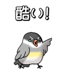 文鳥様の日常（個別スタンプ：11）