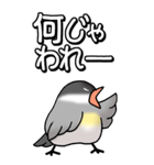 文鳥様の日常（個別スタンプ：15）