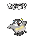 文鳥様の日常（個別スタンプ：19）