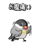 文鳥様の日常（個別スタンプ：24）