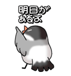 文鳥様の日常（個別スタンプ：28）