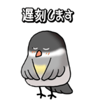 文鳥様の日常（個別スタンプ：31）