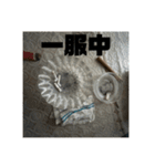 「はい、廃墟です」No.1（個別スタンプ：5）