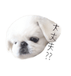 ぺきもこもっちくん➃（個別スタンプ：9）