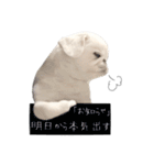 ぺきもこもっちくん➃（個別スタンプ：29）