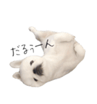 ぺきもこもっちくん➃（個別スタンプ：30）