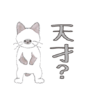 ちいさなねこのみかこ（個別スタンプ：13）