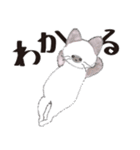 ちいさなねこのみかこ（個別スタンプ：16）