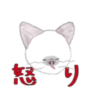 ちいさなねこのみかこ（個別スタンプ：24）