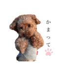 coco＆tini vol.4（個別スタンプ：3）