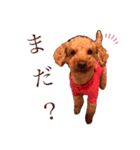 coco＆tini vol.4（個別スタンプ：5）