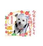 マルと母さん（個別スタンプ：5）