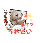 マルと母さん（個別スタンプ：6）