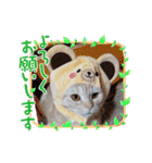 ♡きなこちゃん♡（個別スタンプ：4）