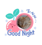 ♡きなこちゃん♡（個別スタンプ：7）