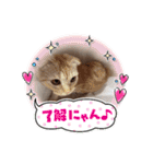 ♡きなこちゃん♡（個別スタンプ：8）