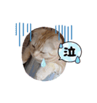 ♡きなこちゃん♡（個別スタンプ：10）