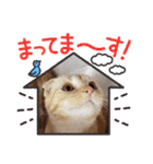 ♡きなこちゃん♡（個別スタンプ：12）