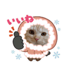 ♡きなこちゃん♡（個別スタンプ：14）
