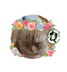 ♡きなこちゃん♡（個別スタンプ：18）
