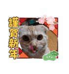 ♡きなこちゃん♡（個別スタンプ：21）