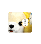 2022 はるとら（個別スタンプ：2）