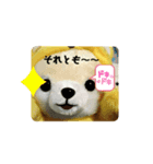 2022 はるとら（個別スタンプ：3）