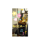 2022 はるとら（個別スタンプ：5）