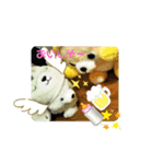 2022 はるとら（個別スタンプ：8）