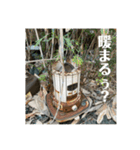 mr.ruin_s「はい、廃墟です」2（個別スタンプ：3）