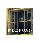 mr.ruin_s「はい、廃墟です」2（個別スタンプ：8）