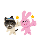 サバトラ猫カリーノ（個別スタンプ：29）