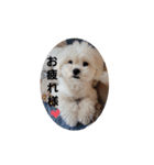 moco tam6moa HAPPY jamjam（個別スタンプ：3）