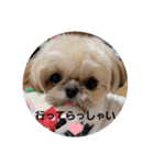 moco tam6moa HAPPY jamjam（個別スタンプ：7）