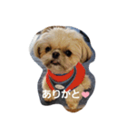 moco tam6moa HAPPY jamjam（個別スタンプ：8）