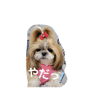 moco tam6moa HAPPY jamjam（個別スタンプ：9）