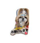 moco tam6moa HAPPY jamjam（個別スタンプ：10）