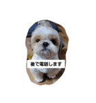 moco tam6moa HAPPY jamjam（個別スタンプ：13）