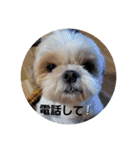 moco tam6moa HAPPY jamjam（個別スタンプ：16）