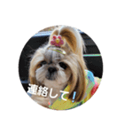moco tam6moa HAPPY jamjam（個別スタンプ：20）