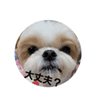 moco tam6moa HAPPY jamjam（個別スタンプ：23）