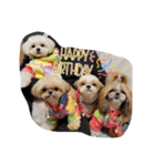 moco tam6moa HAPPY jamjam（個別スタンプ：24）