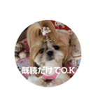 moco tam6moa HAPPY jamjam（個別スタンプ：25）