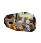 moco tam6moa HAPPY jamjam（個別スタンプ：26）
