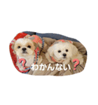 moco tam6moa HAPPY jamjam（個別スタンプ：27）