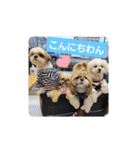 moco tam6moa HAPPY jamjam（個別スタンプ：28）