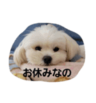 moco tam6moa HAPPY jamjam（個別スタンプ：29）