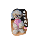 moco tam6moa HAPPY jamjam（個別スタンプ：31）